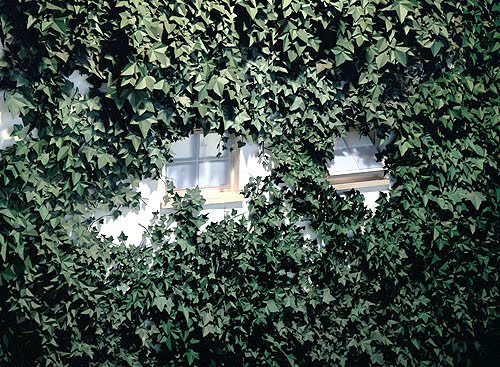 Thomas_Demand_Klause2